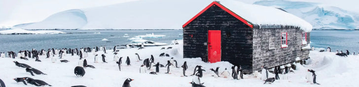 Welcome to Antarctica