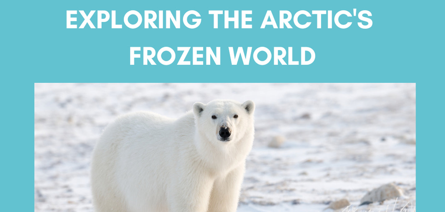 Virtual Climate Change Workshops