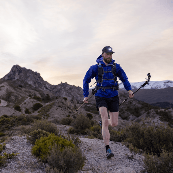 Nanolite Pole Twins Ultralight folding trekking pole