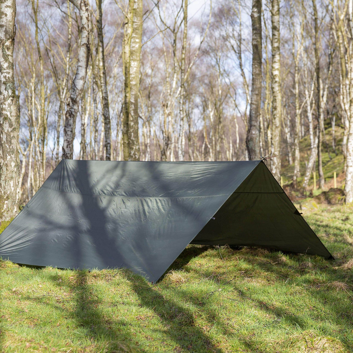 4-square tarp in kelp