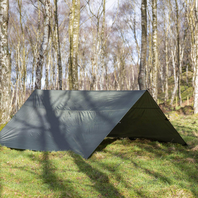 4-square tarp in kelp