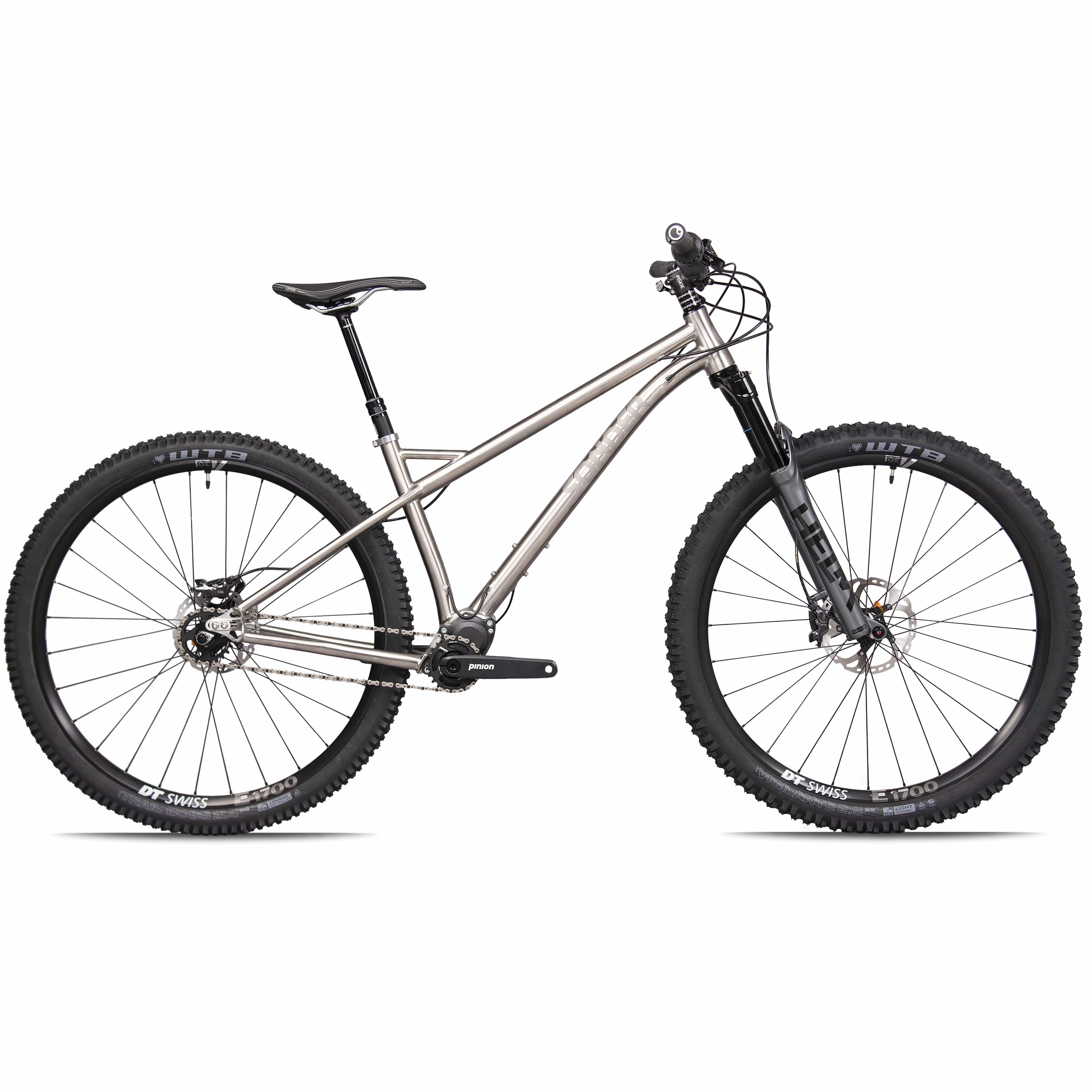 Sonder Signal Ti Pinion Aggressive titanium 29er hardtail