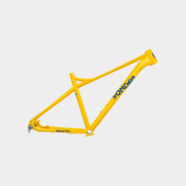 Sonder transmitter frame new arrivals