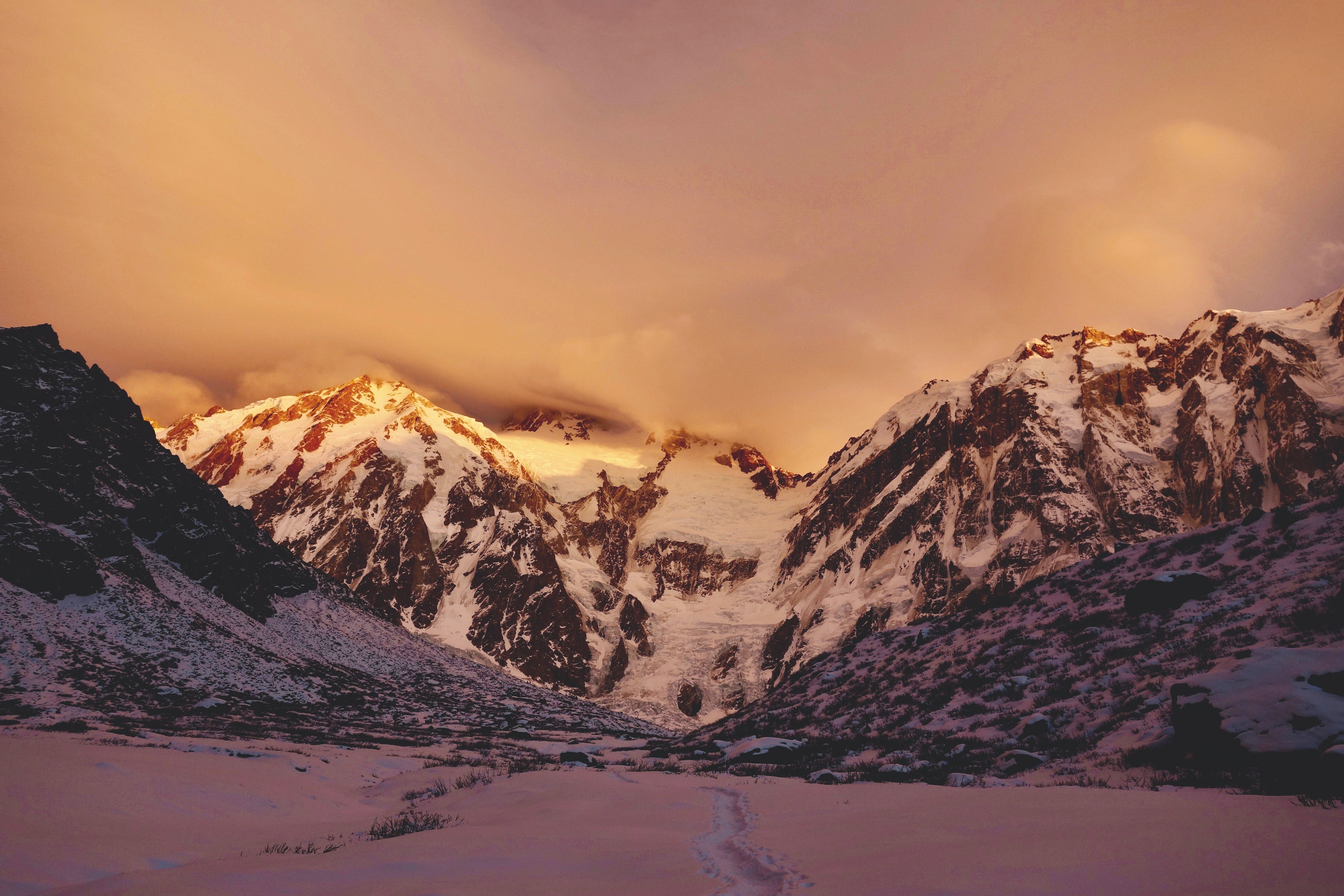 To Live - Fighting for life on the killer mountain by Élisabeth Revol