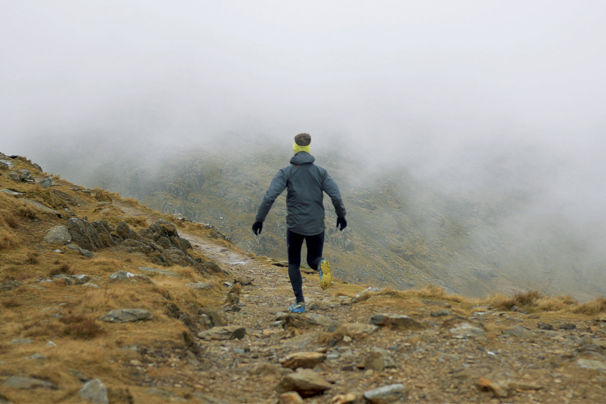 Fuelled by the Honey Sandwich