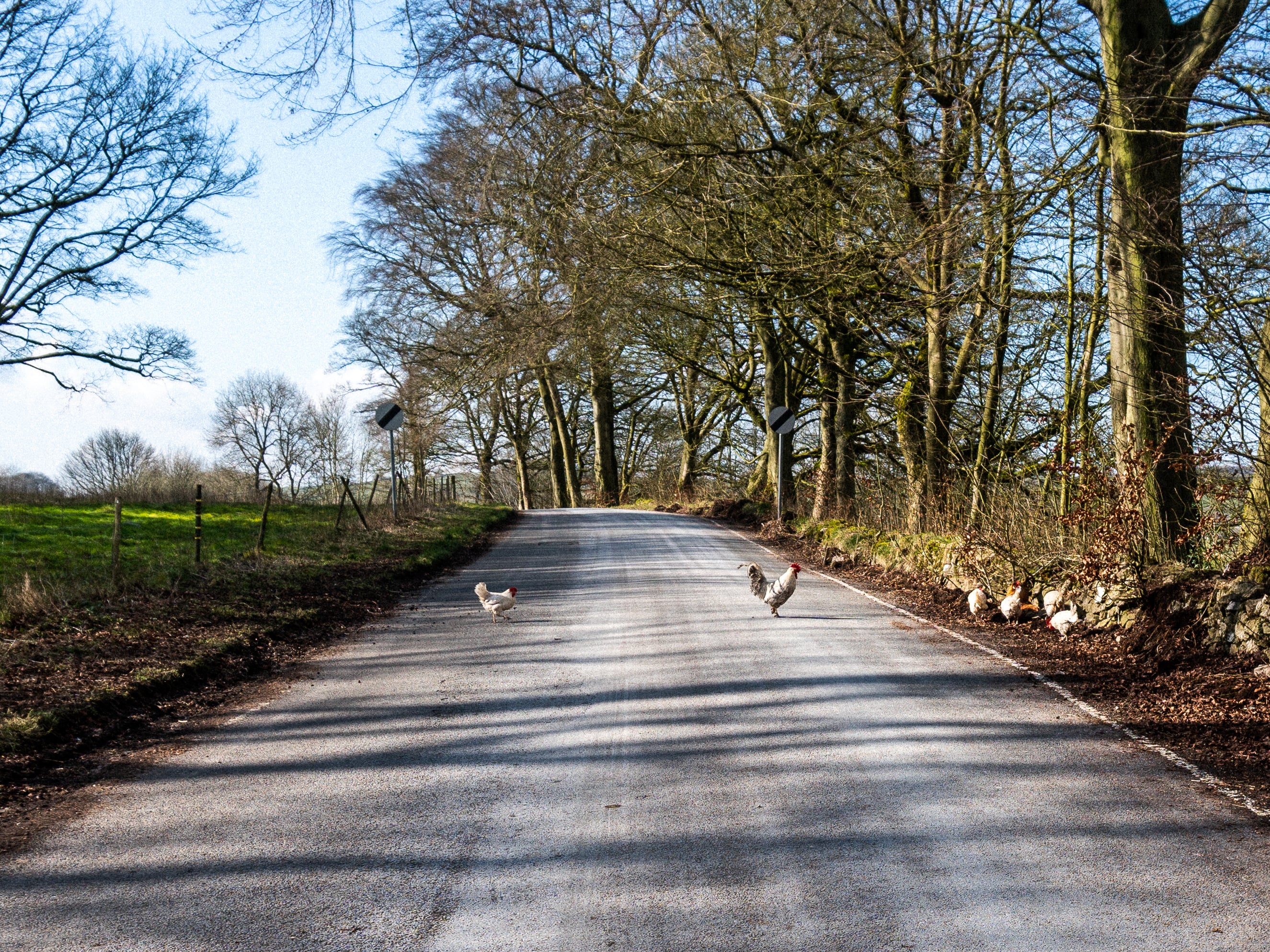 Home Roads Circular Commuting