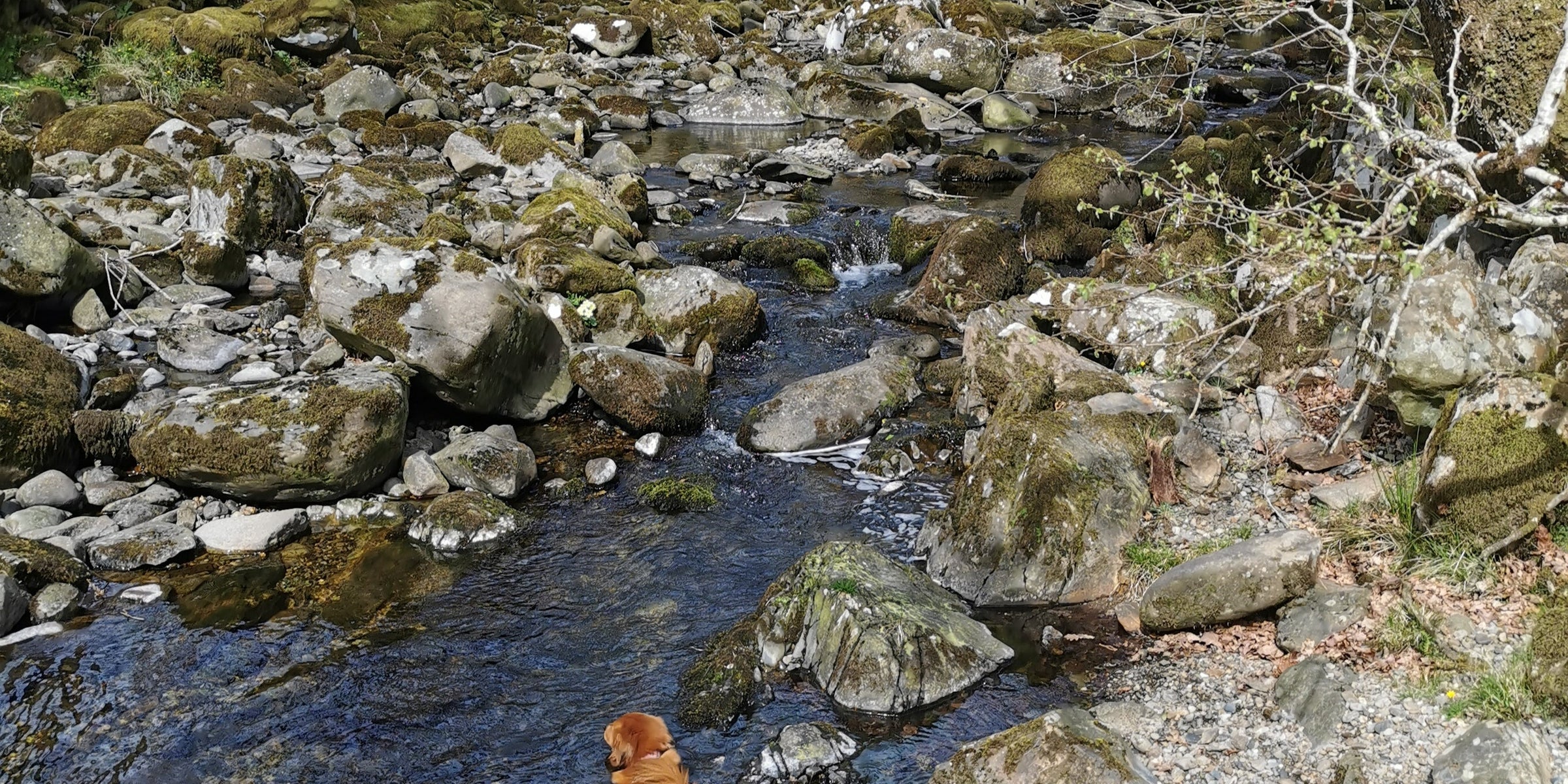 Camping in North Wales