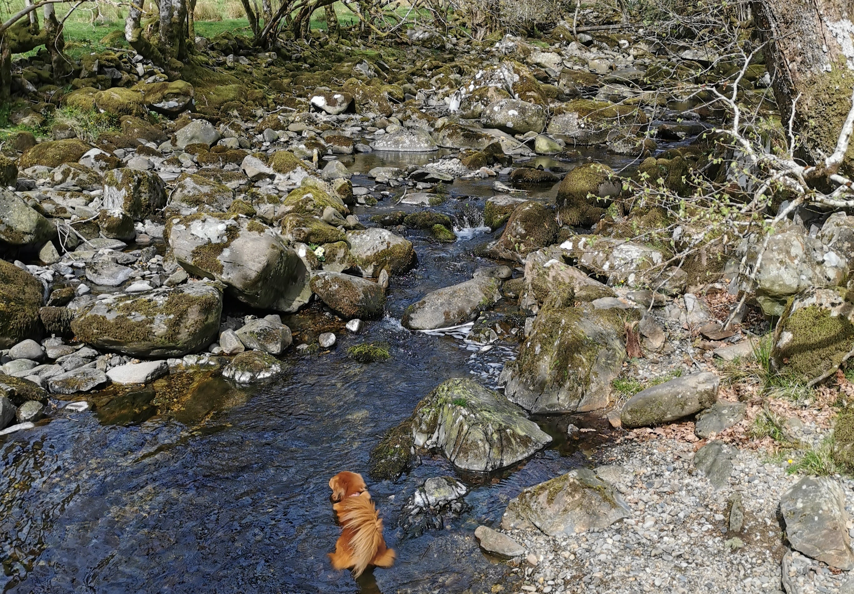 Camping in North Wales