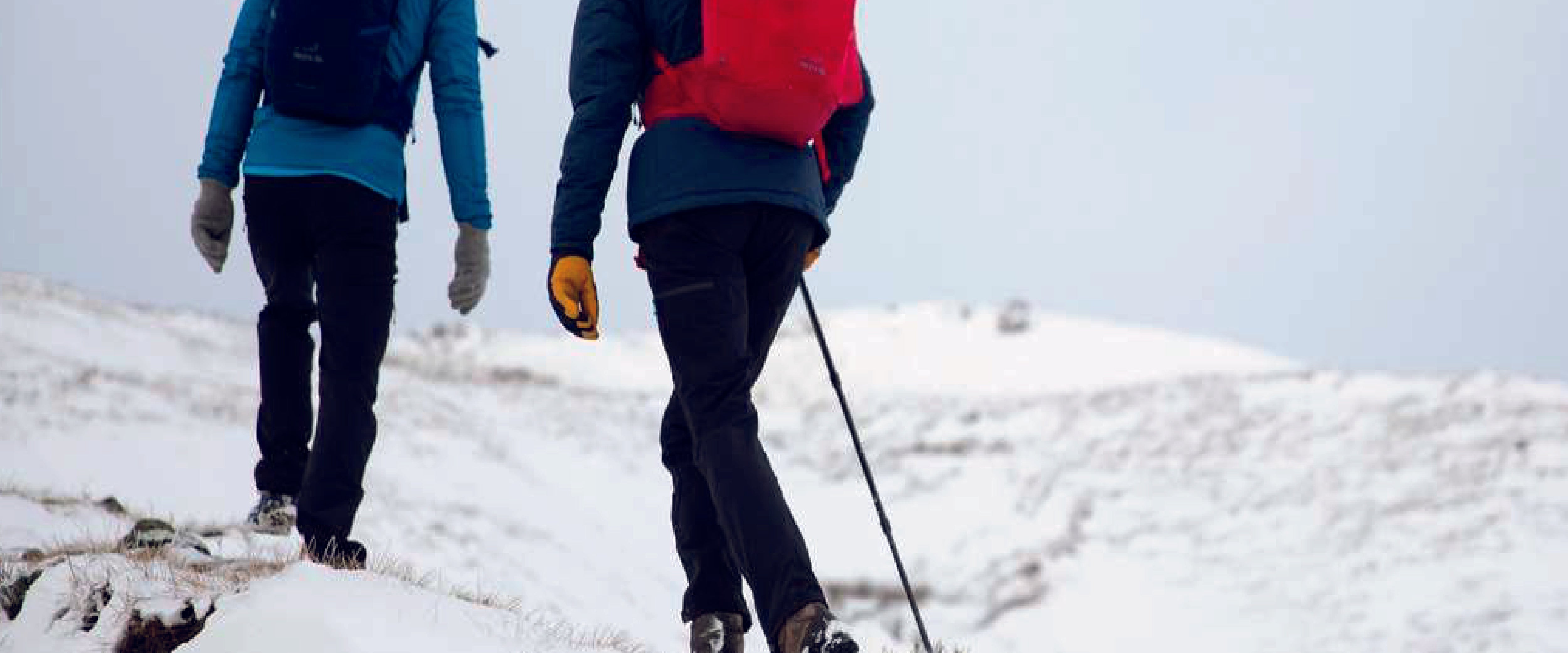 Ardent named 'Best Value' by Trail Magazine