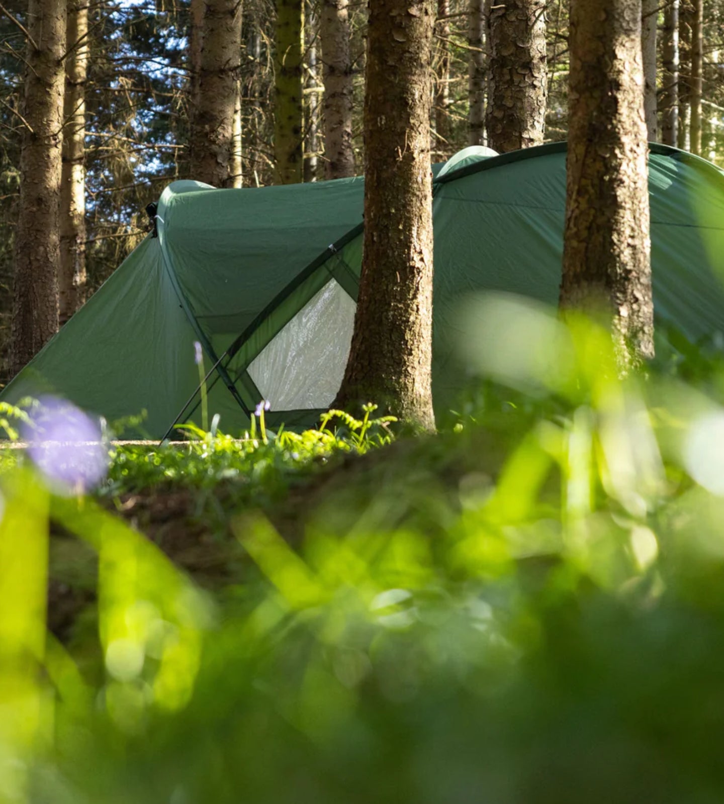 Geodesic family camping tent