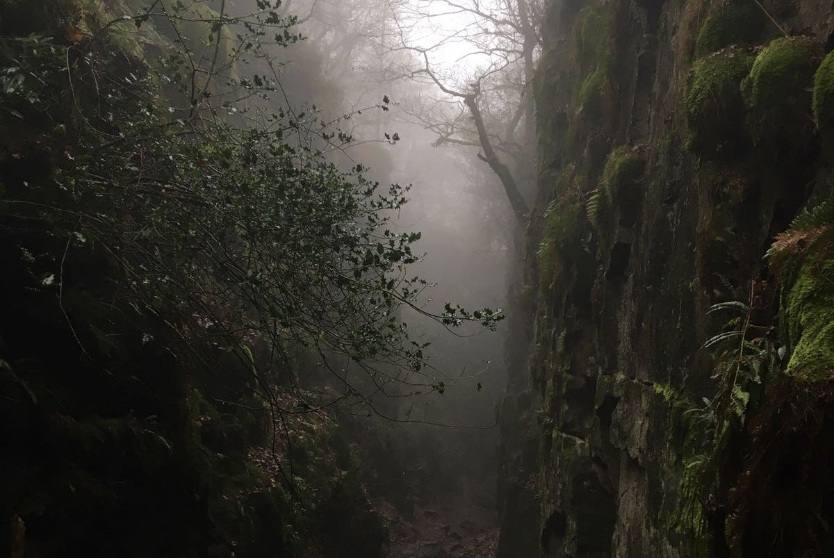 Taking Stories and History Outdoors