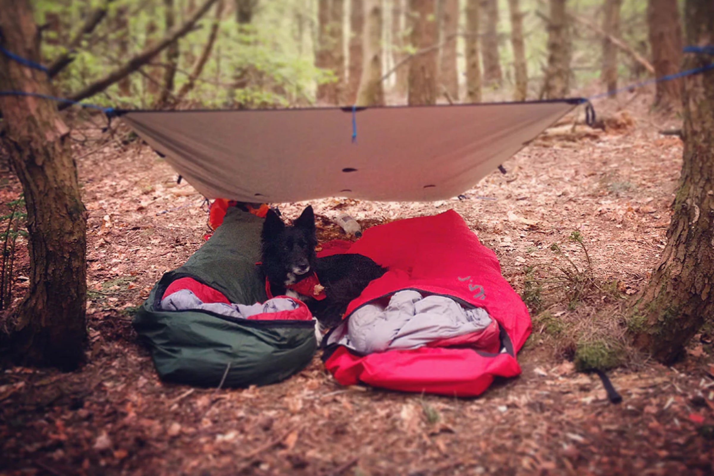 A double bivvy underneath a tarp