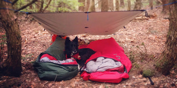 Mastering ultralight bivvy setups for camping at its lightest