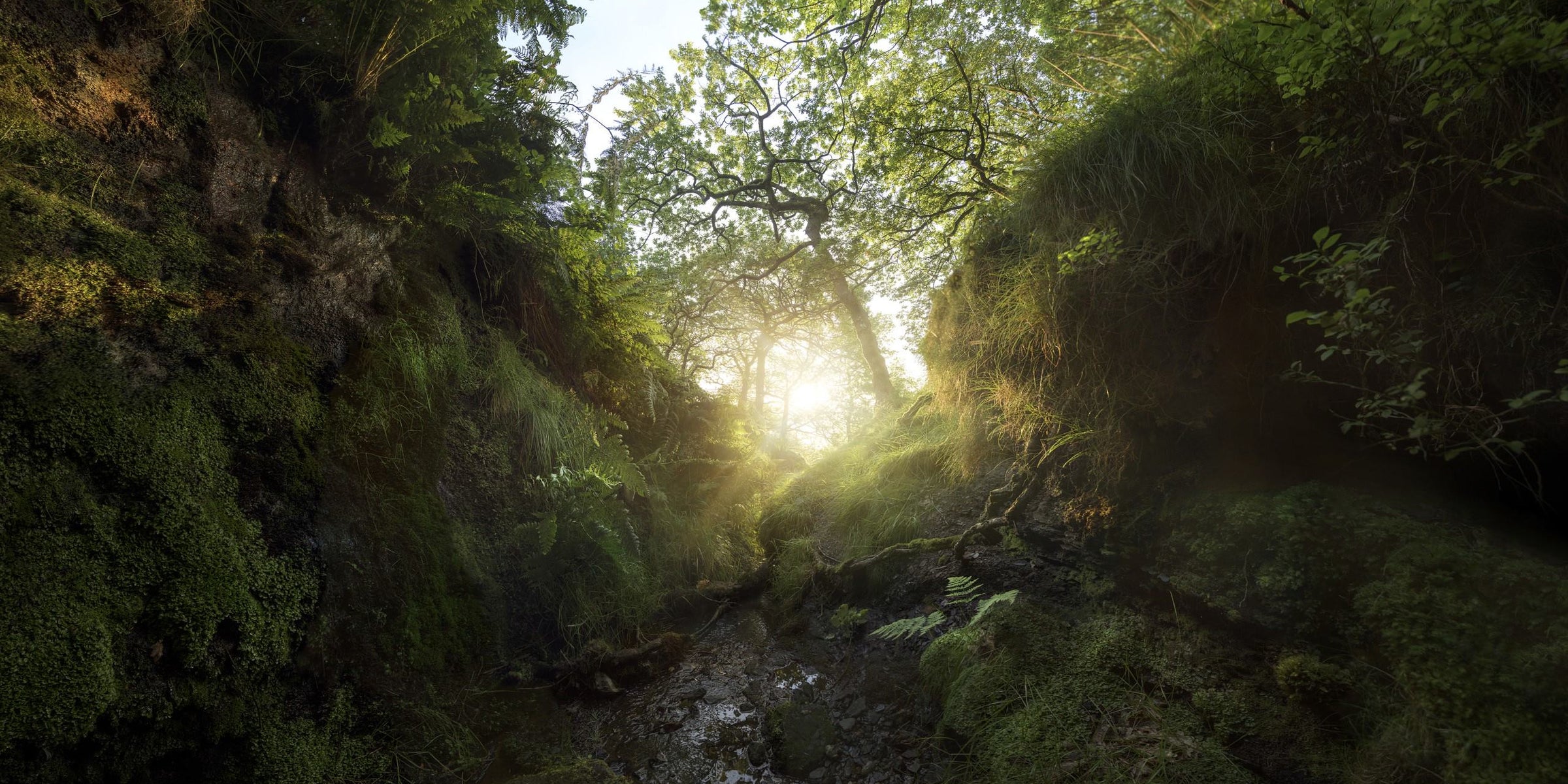 GRI Content Index to Alpkit 2023 Sustainability Report