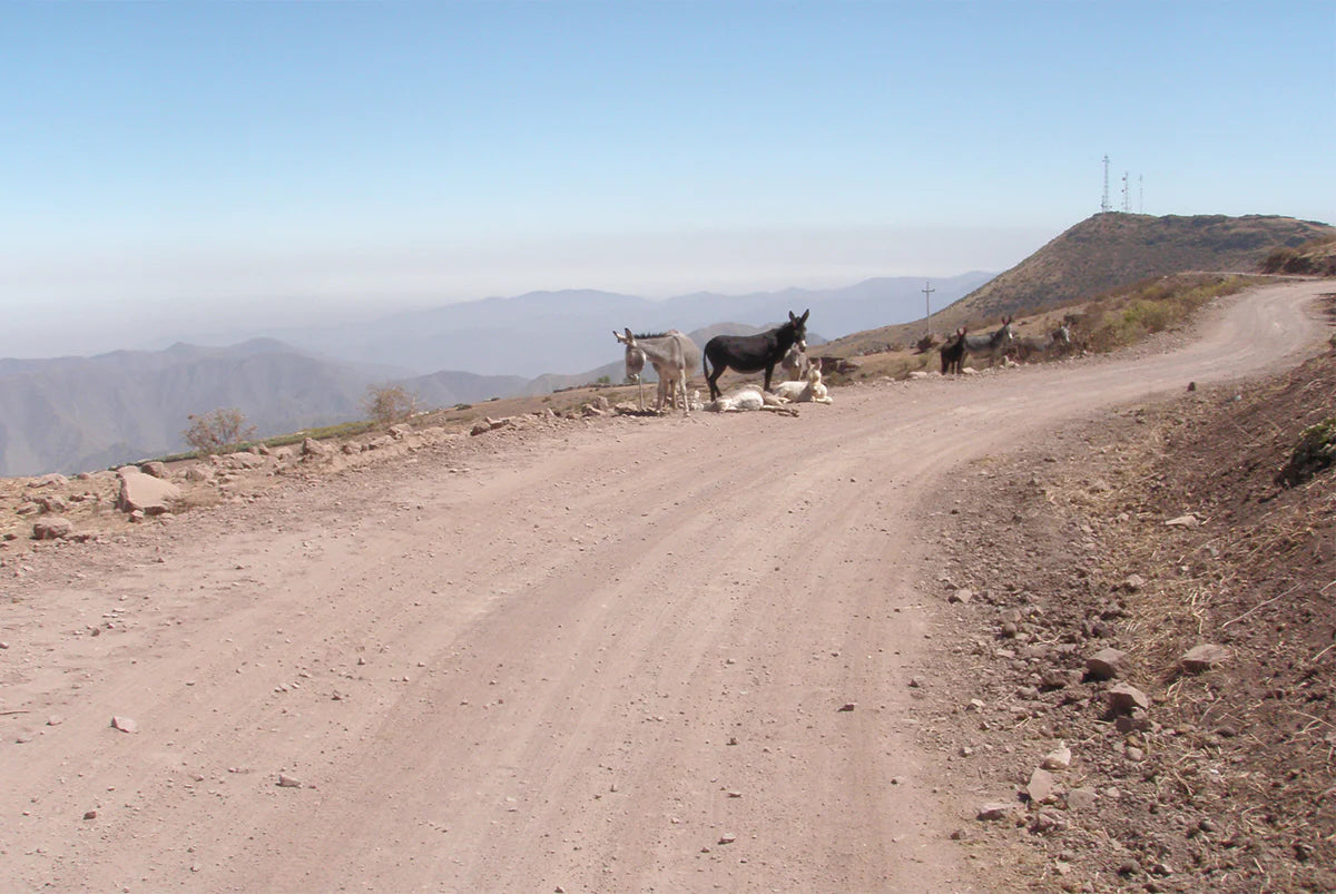 The Wild West of Lima - part 1