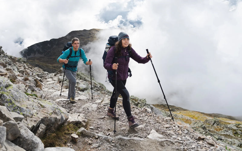 Trekking in the Alps