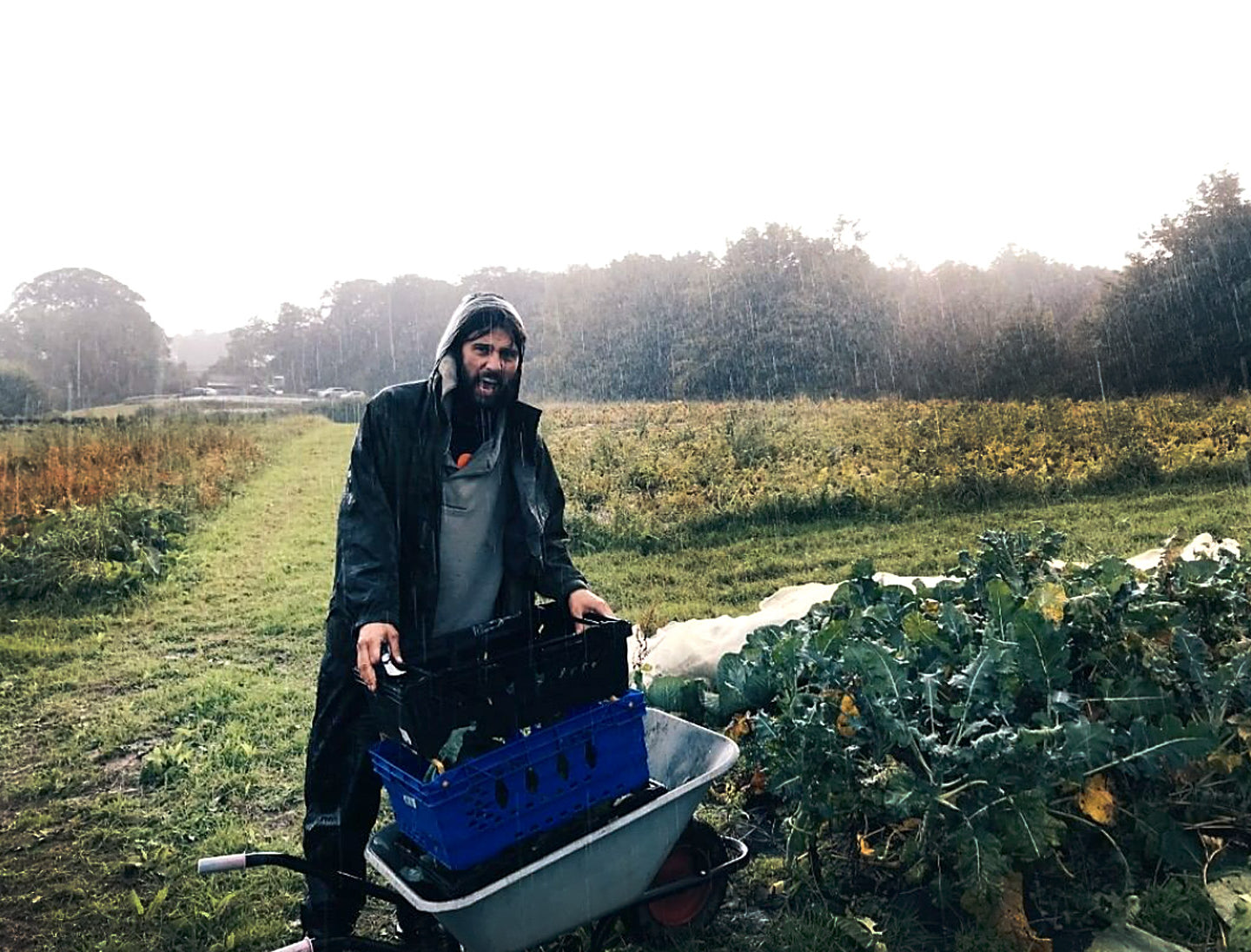 Down On The Farm With Buddy Kennedy - Off The Bench