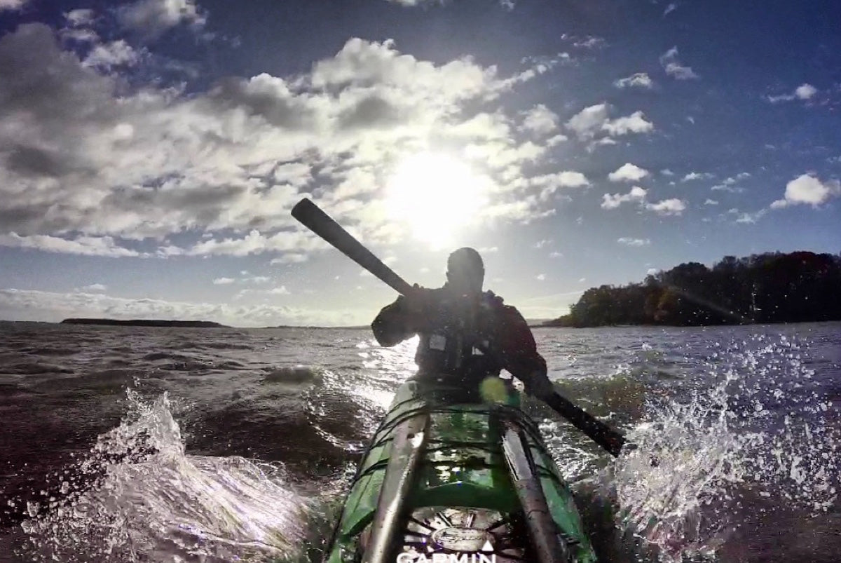 Seals and a Beast of a Paddle Home