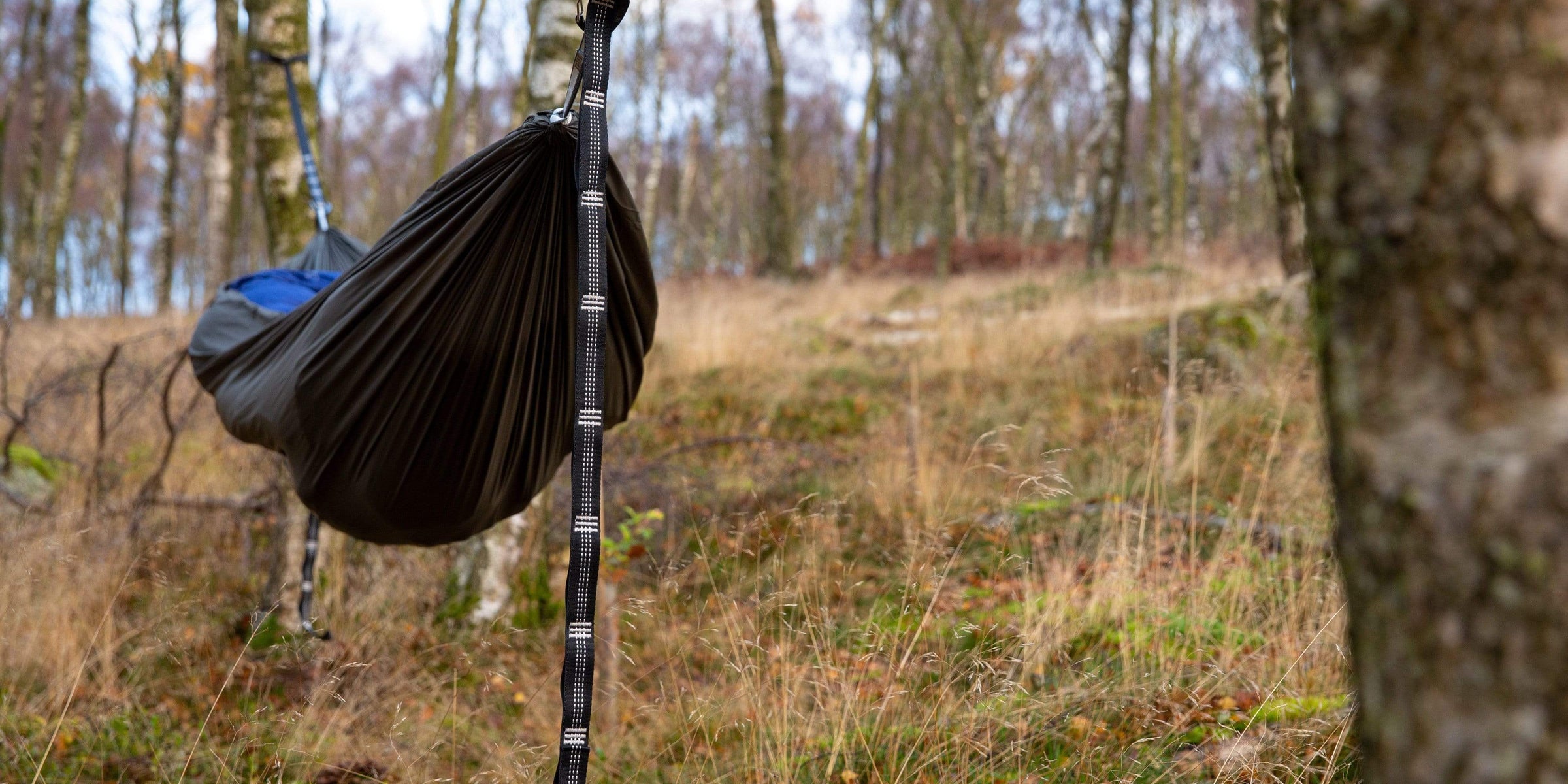 Camping hammock suspended between two trees