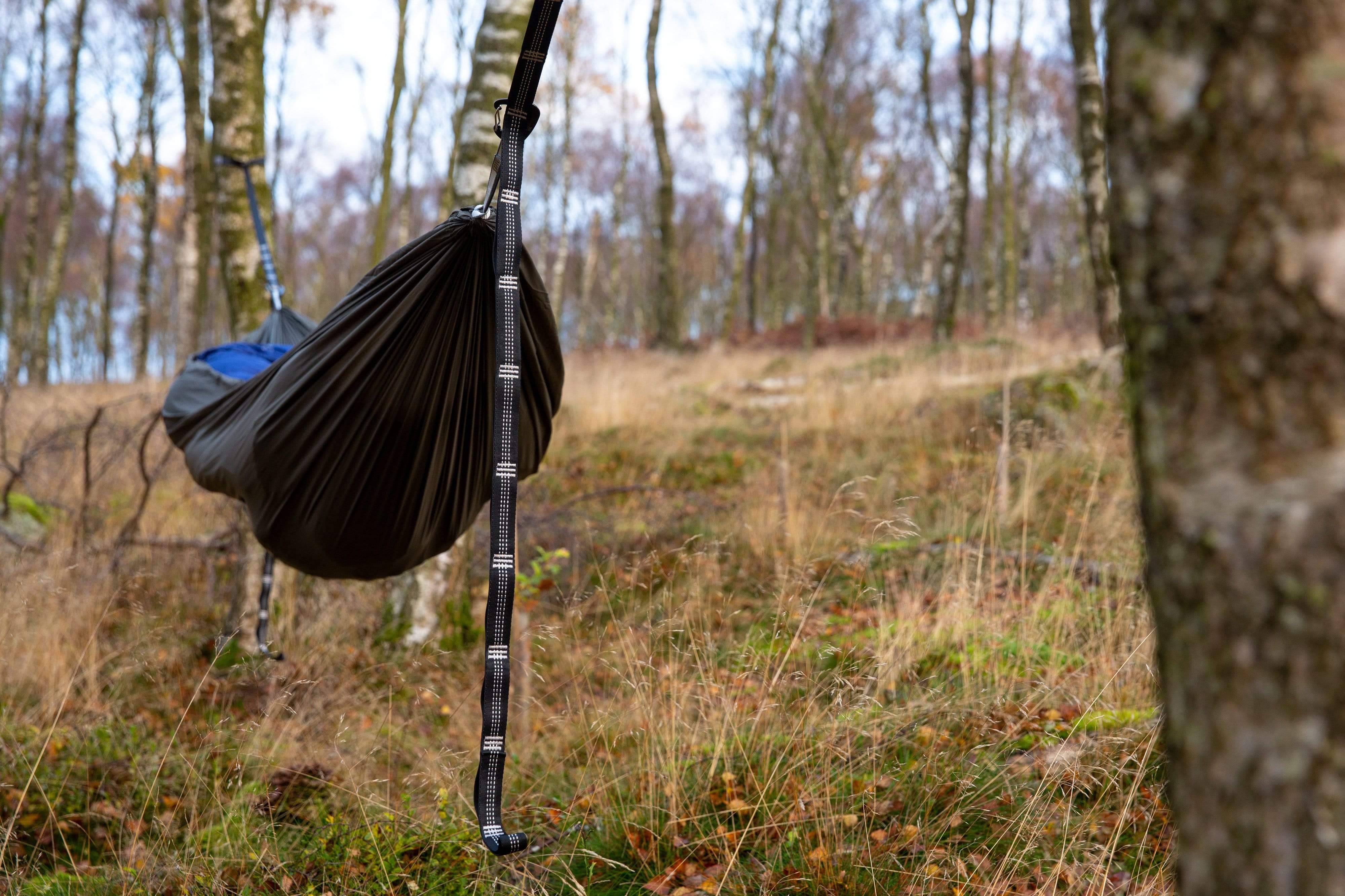 Camping hammock suspended between two trees