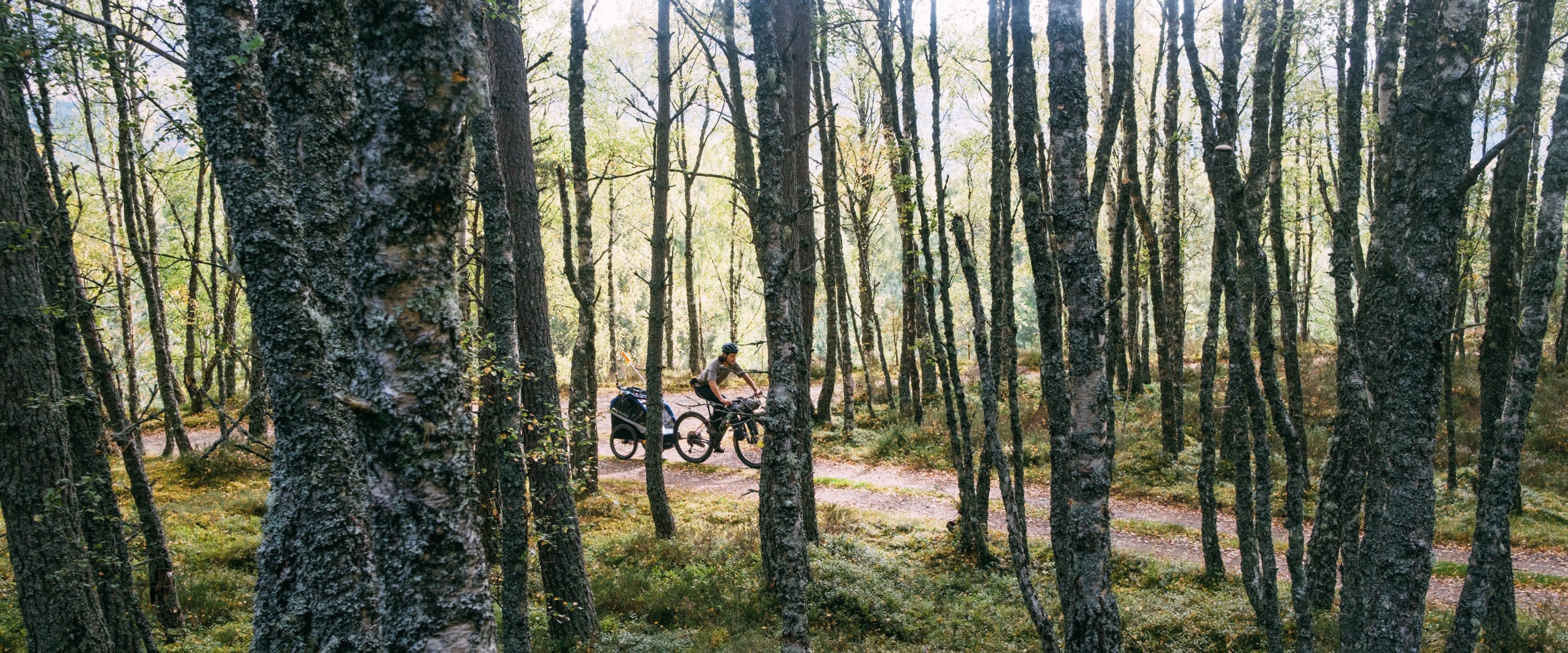 Off-Road Family Bikepacking