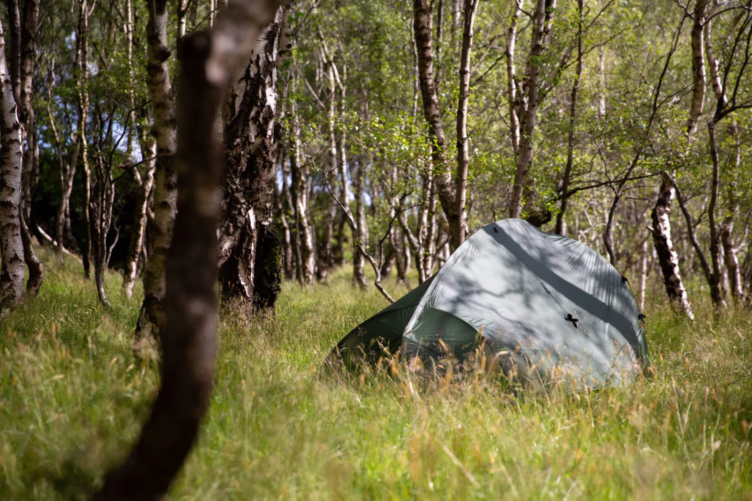 Lightweight backpacking tent