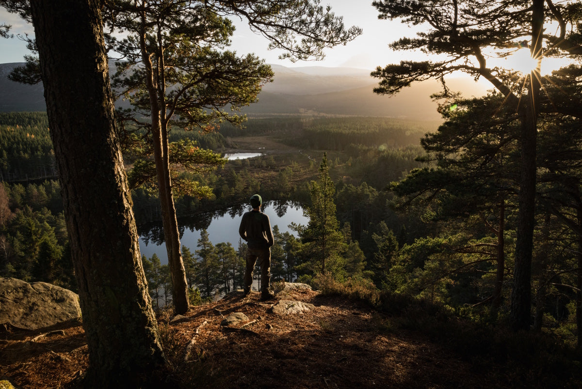 Schiehallion Winter Camp