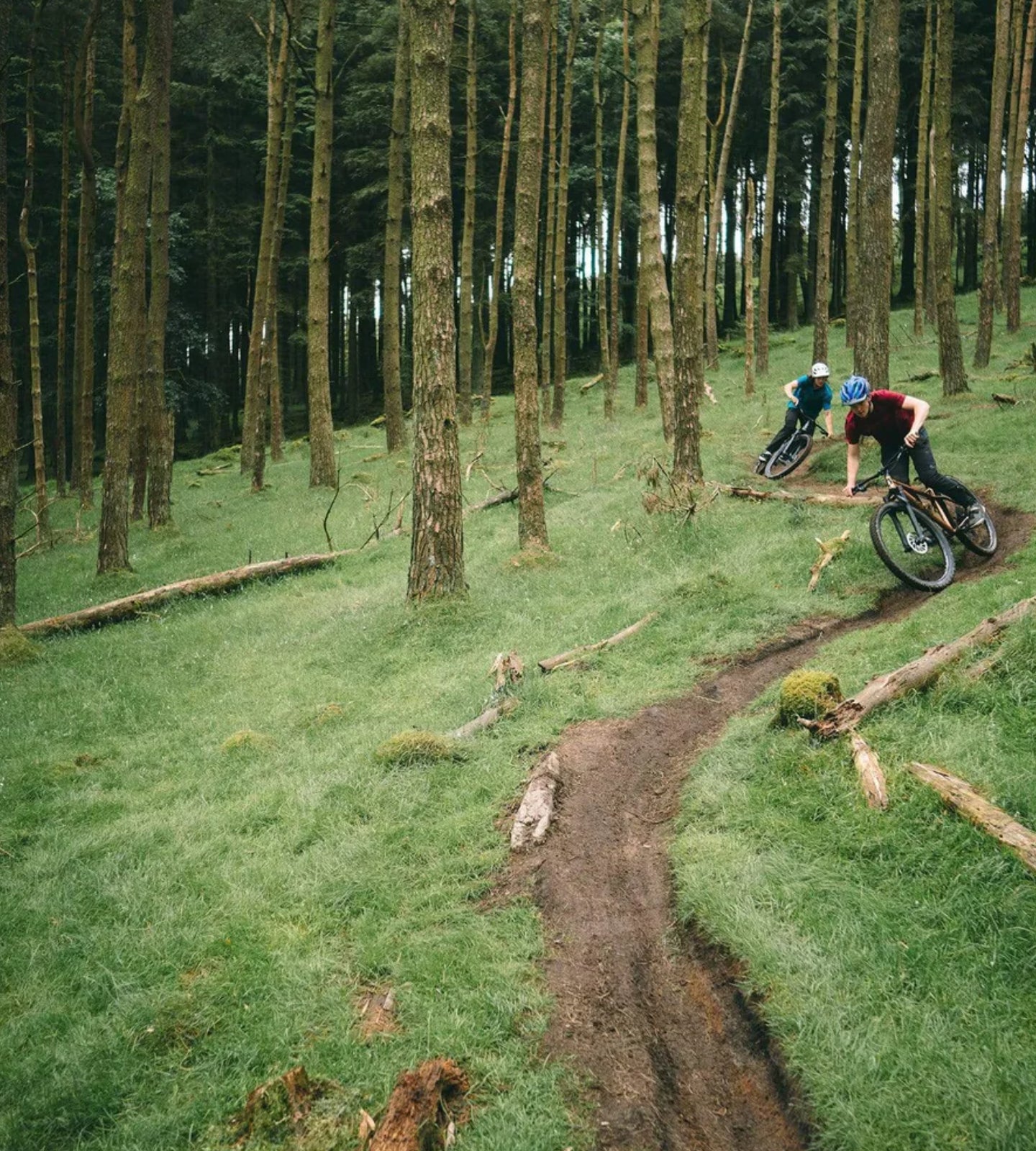 Steel hardtail MTB riding the woodland trails