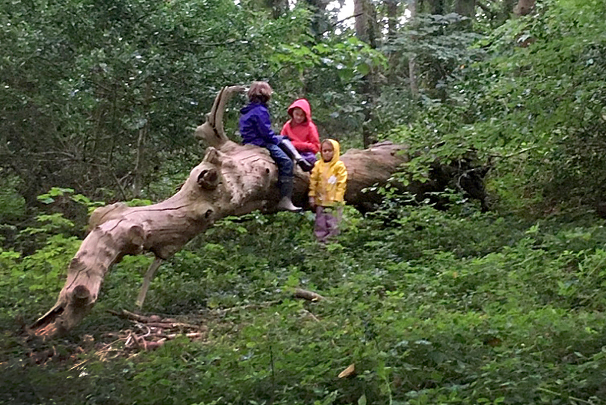 Keeping the Tide flowing