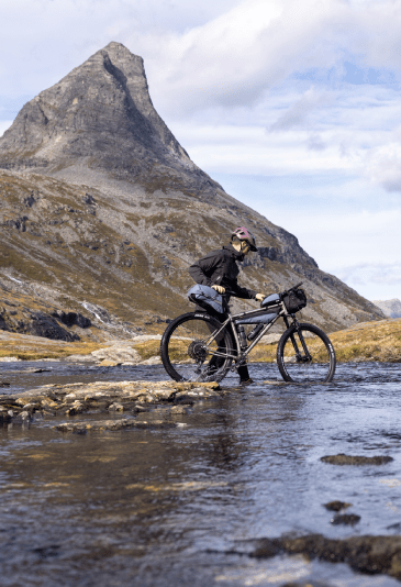 Toliari pannier top