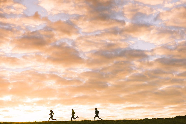 BSO 2024 Guided Morning Run