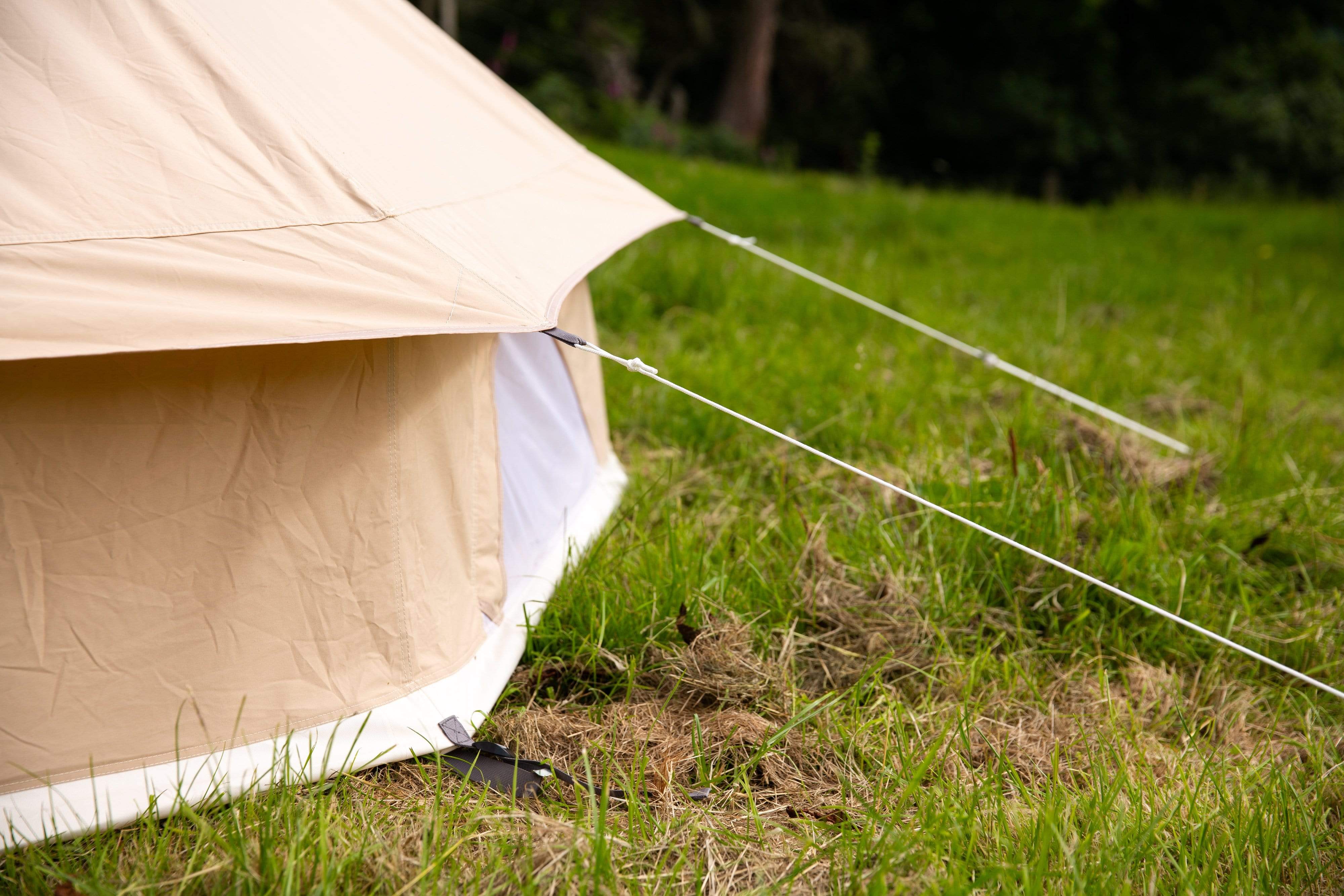 Buy bell cheap tent